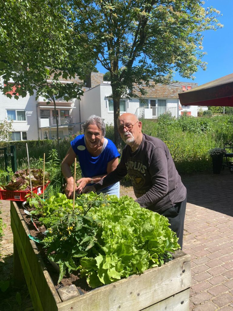 Sla uit eigen tuin plukken